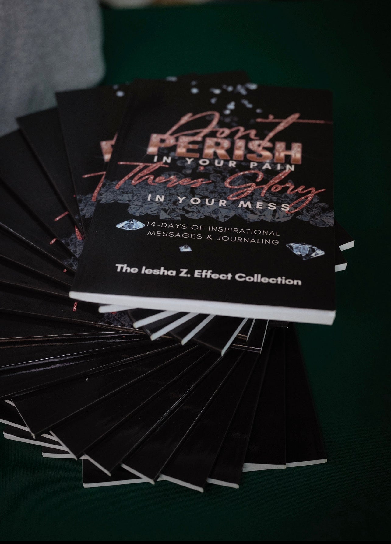 Don't Perish There's Glory 14-Day Journal (Rose Gold & Black Cover)